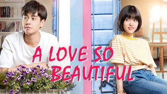 A Love So Beautiful (2017)