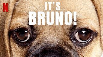 It's Bruno! (2019)