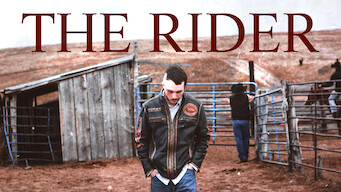 The Rider (2017)