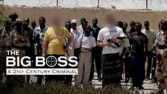 The Big Boss: A 21st Century Criminal (2019)